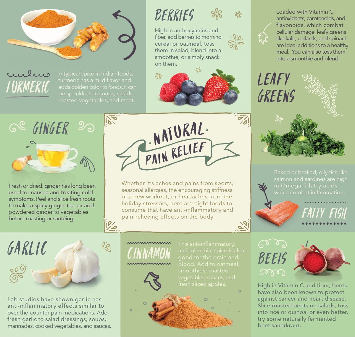 Natural Food For Dogs With Diabetes Natural Food For Dogs With Diabetes
