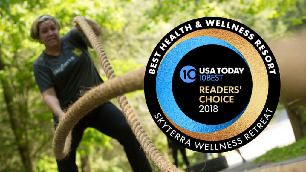 best_health_wellness_resort Skyterra Wellness Retreat - Best Health & Wellness Resort 2018