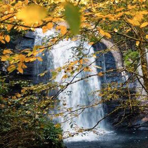 goldenfalls goldenfalls